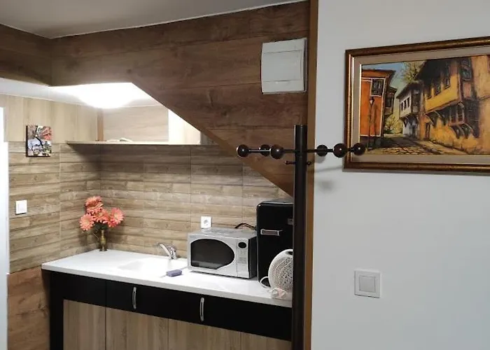 公寓 Marchevi In The Old Town 普罗夫迪夫